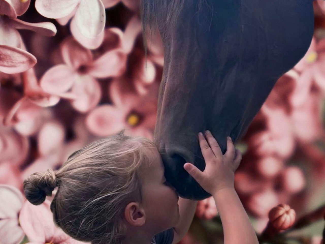 A treasured connection between a young girl and a gentle horse