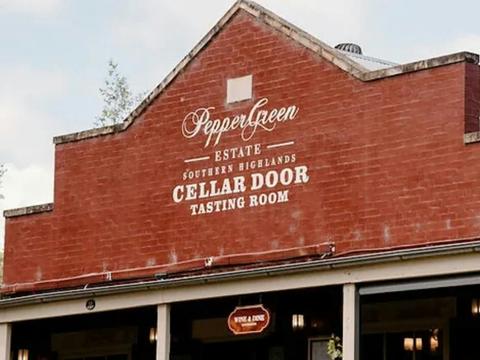 Southern Highland Vines - PepperGreen