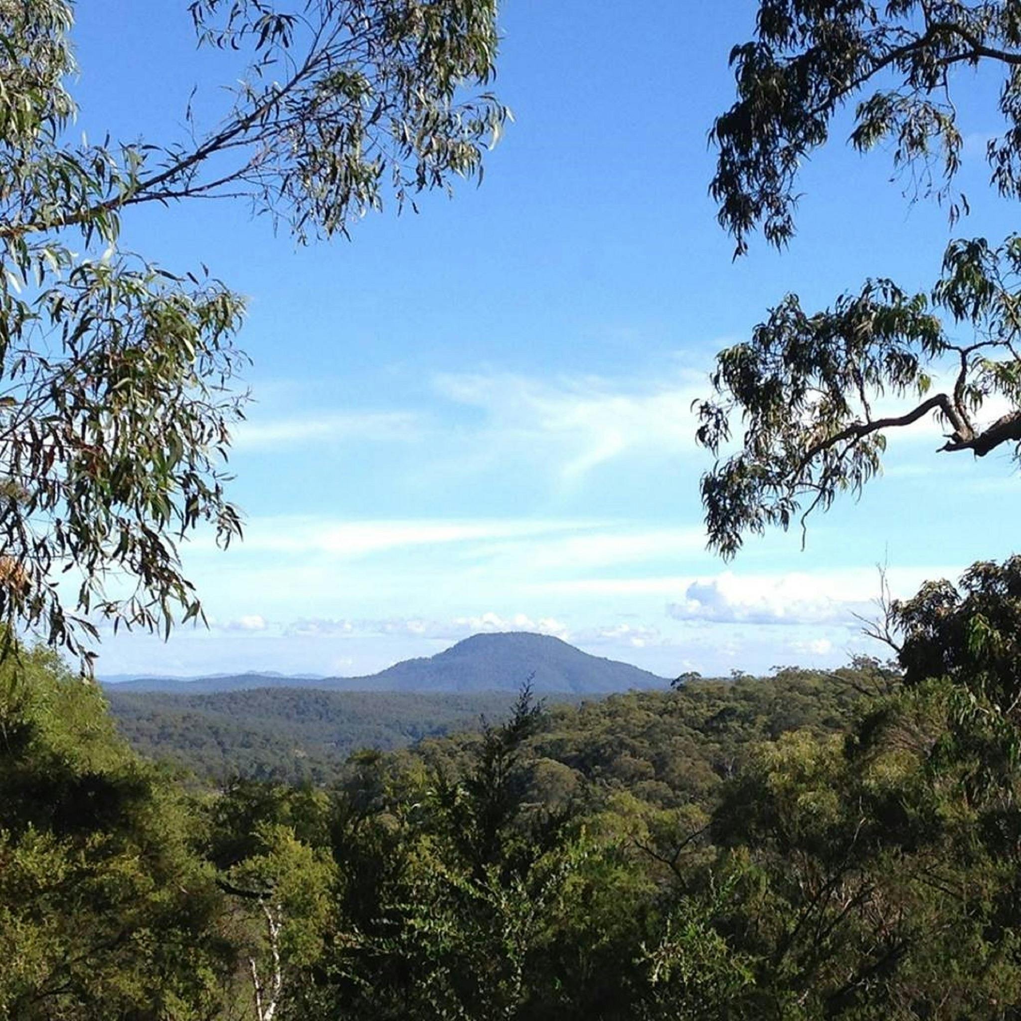 Mount yengo