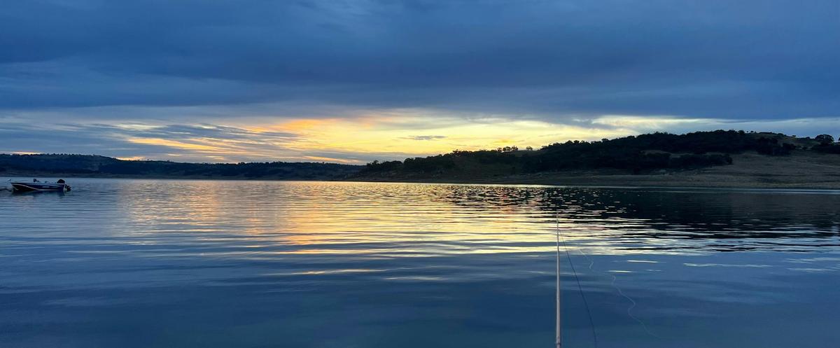 Get Troutfit with Mick