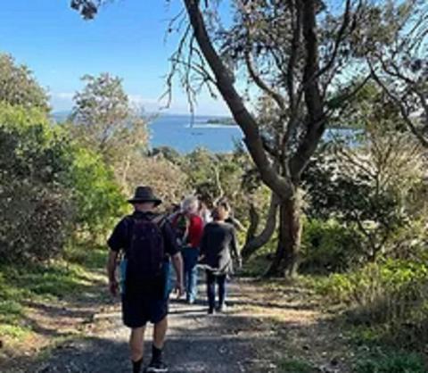 Yamba museum walking tours