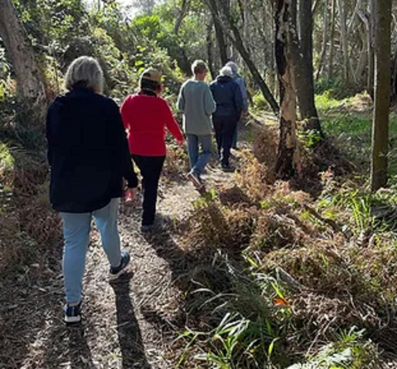 Yamba Museum tours