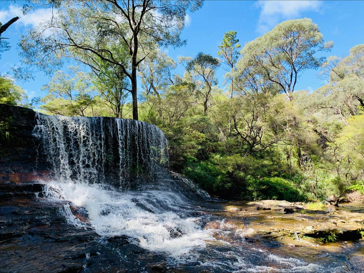 A preliminary fall before the big drop at Wentworth Falls. This ones known as weeping rock