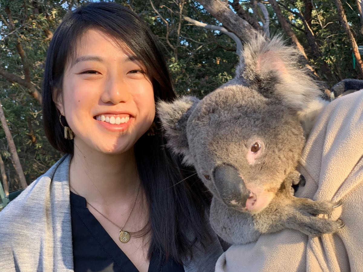 Australian Walkabout Wildlife Park koala experience