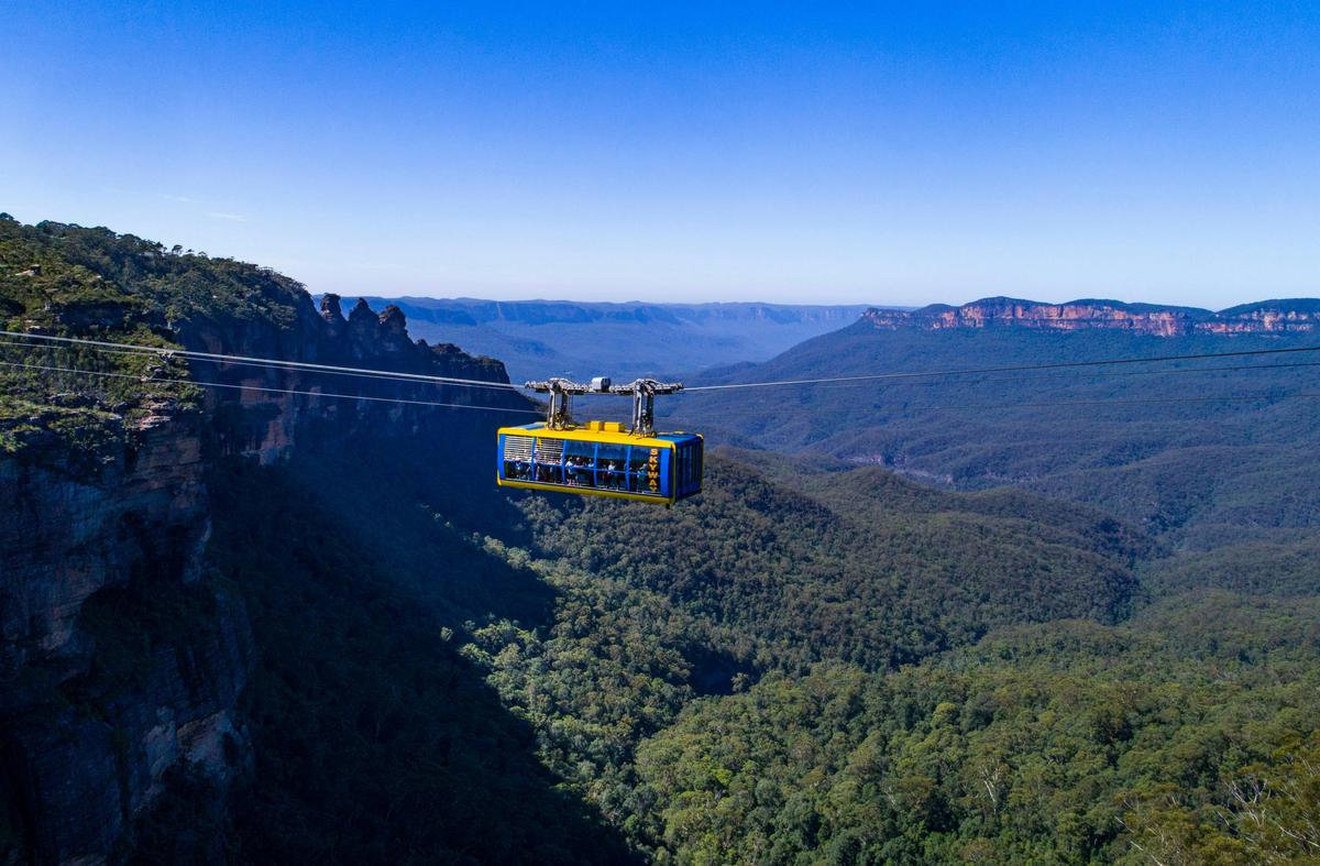 Scenic World