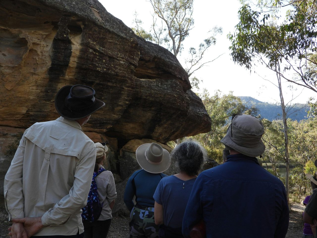 Dabee Walk tour - Bird Rock