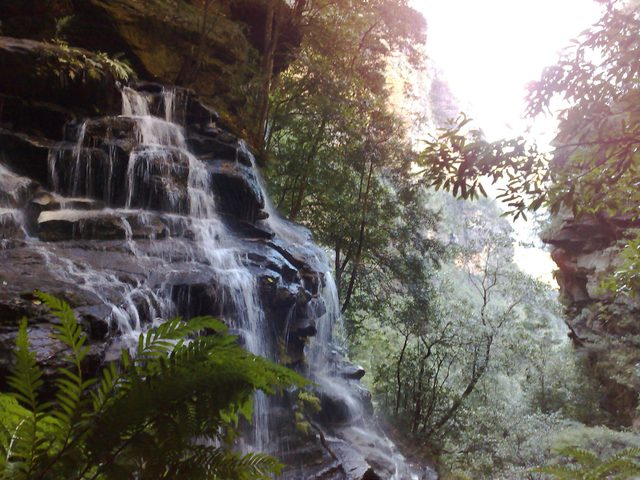 Tread Lightly Eco Tours