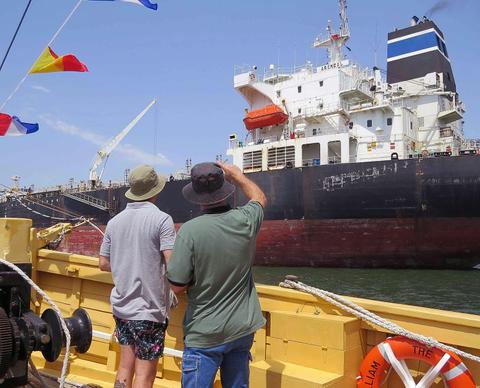 Get up close to the working harbour
