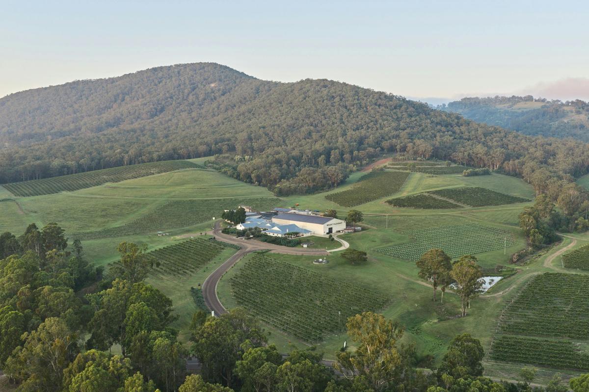 Aerial view over Hunter Valley vineyards