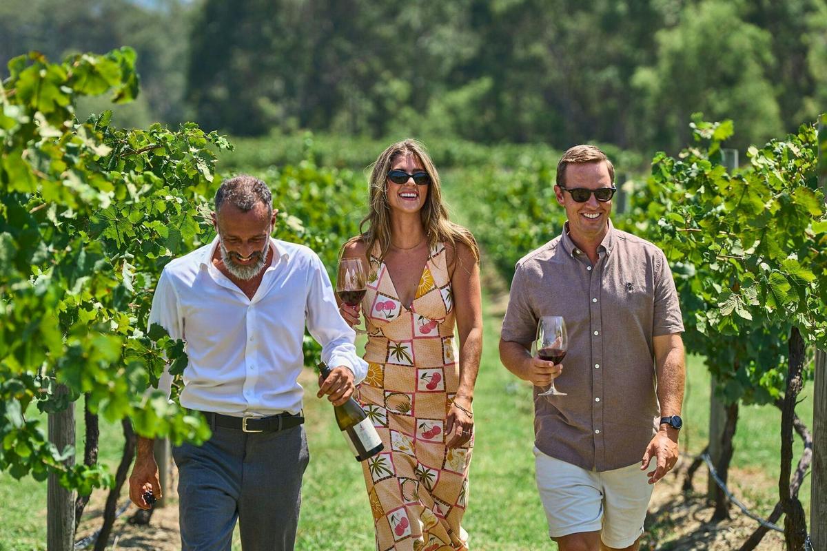 Above the Vines - Hunter Valley Helicopter and Wine Experience