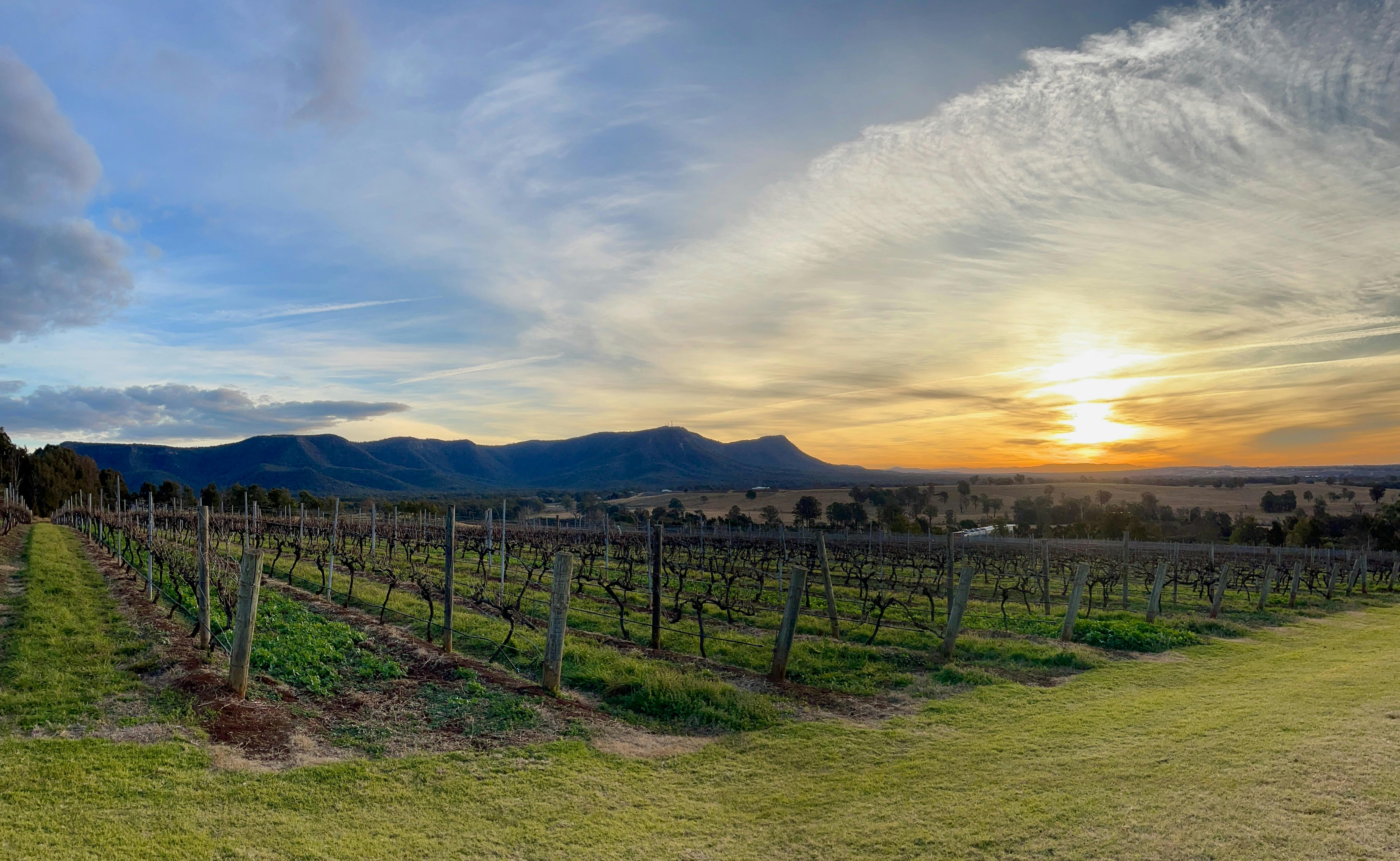 Scarborough Estate Hunter Valley