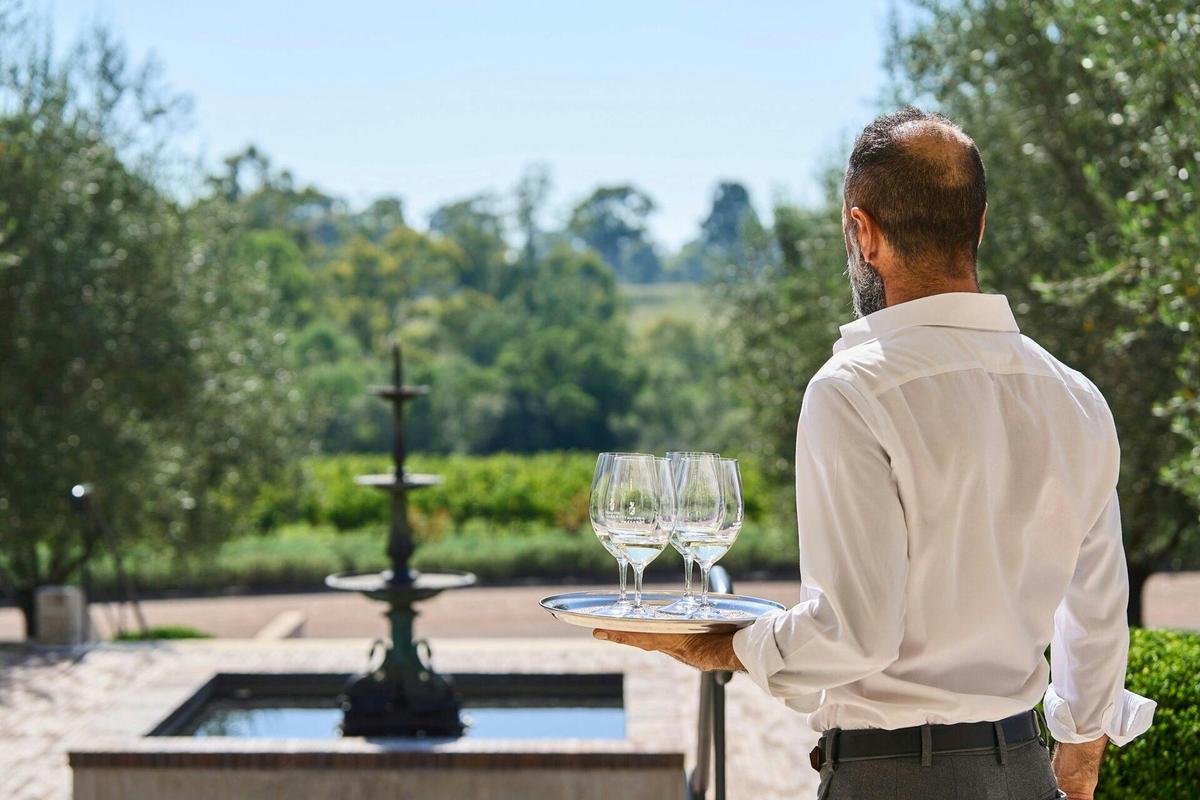 Above the Vines - Hunter Valley Helicopter and Wine Experience