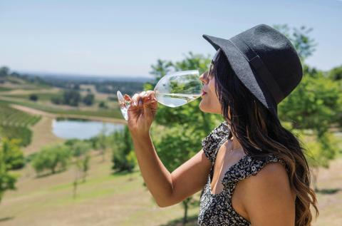 Hunter Valley Wine Tour