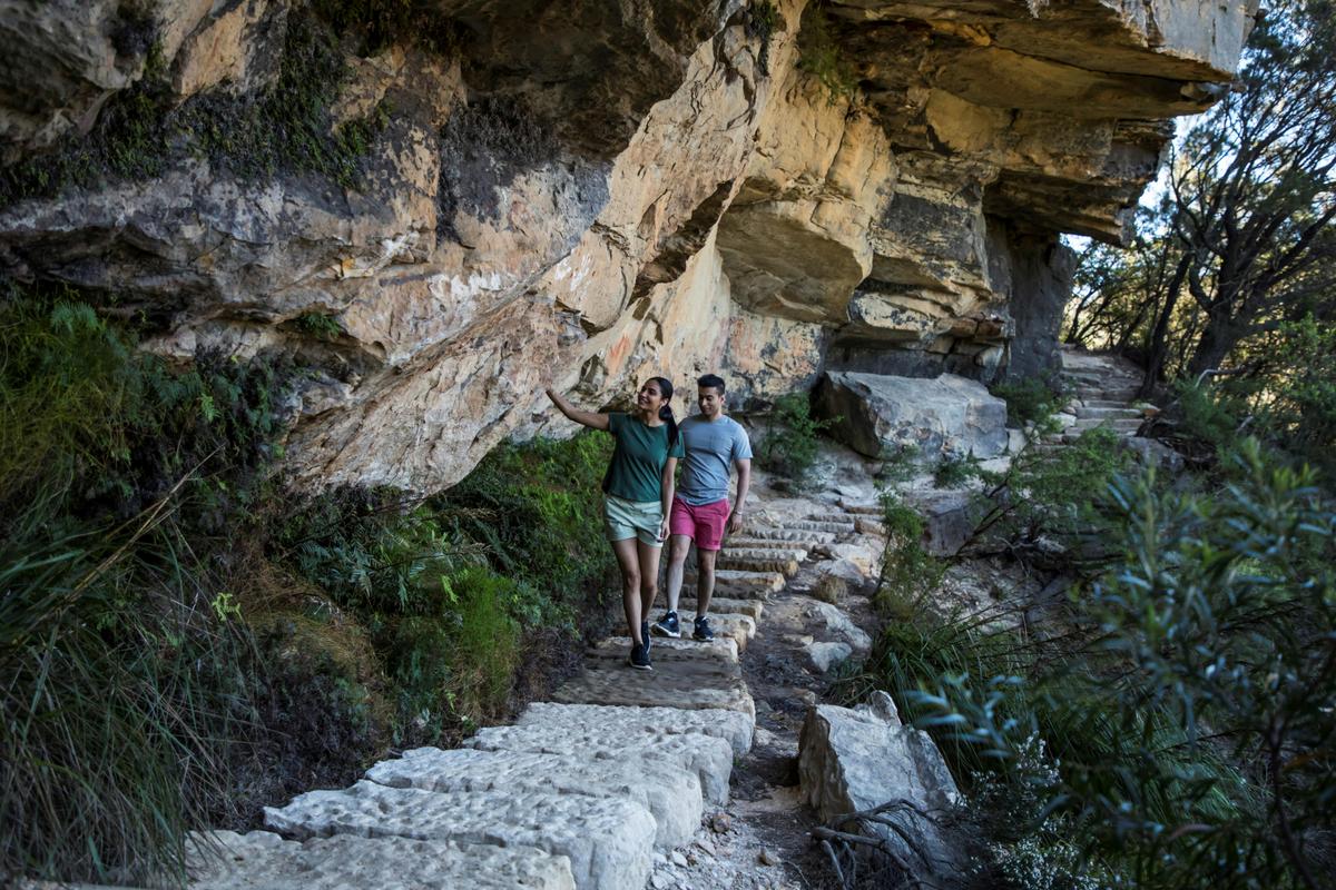 Wildlife Tours Australia - Blue Mountains - Wentworth Falls Track