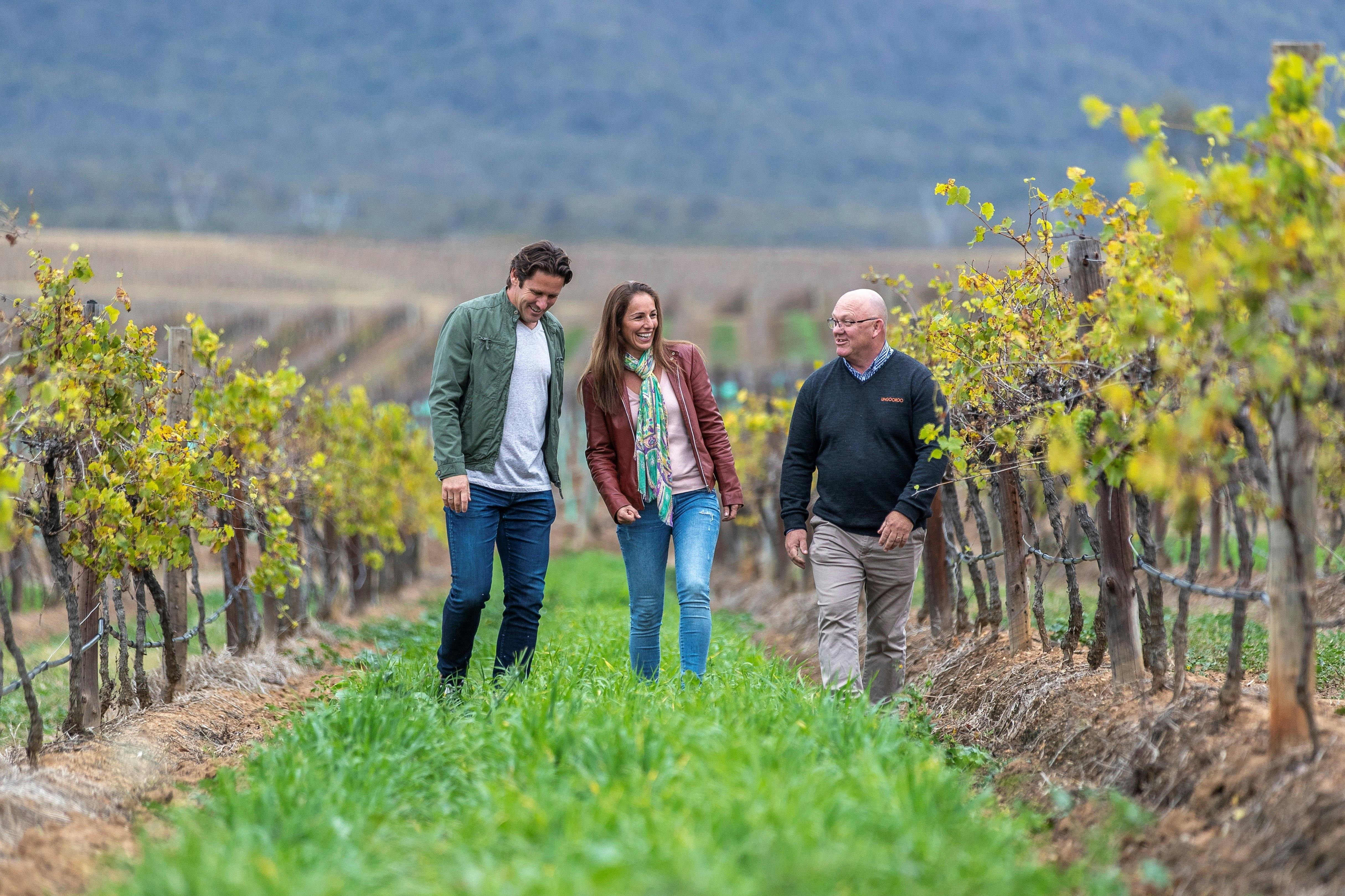 Wildlife Tours Australia - Hunter Valley - Enjoying a walk through the vineyards