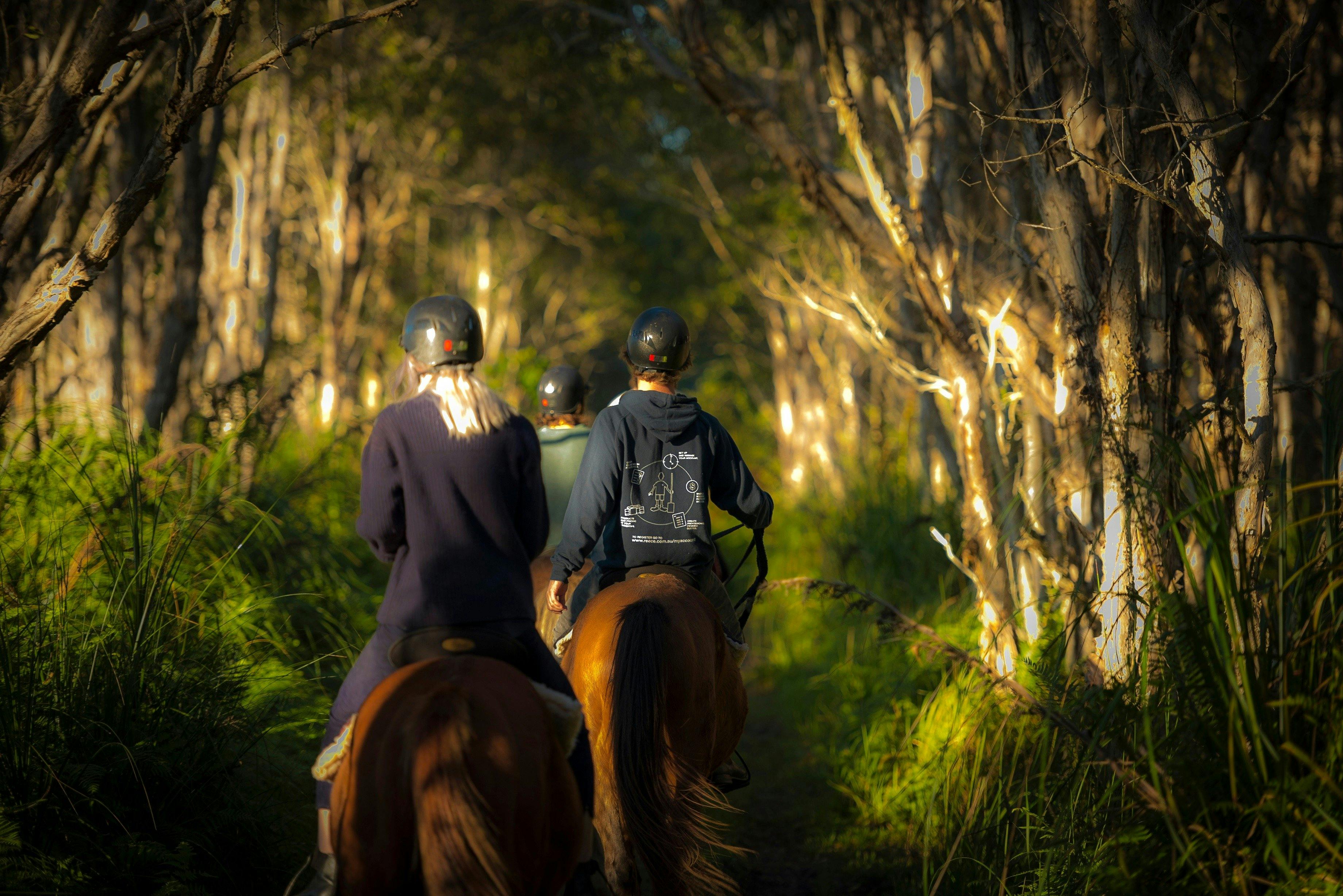 Riding in the forest