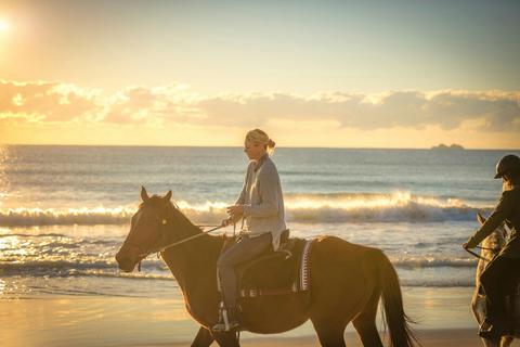 Lady riding horse on the beach