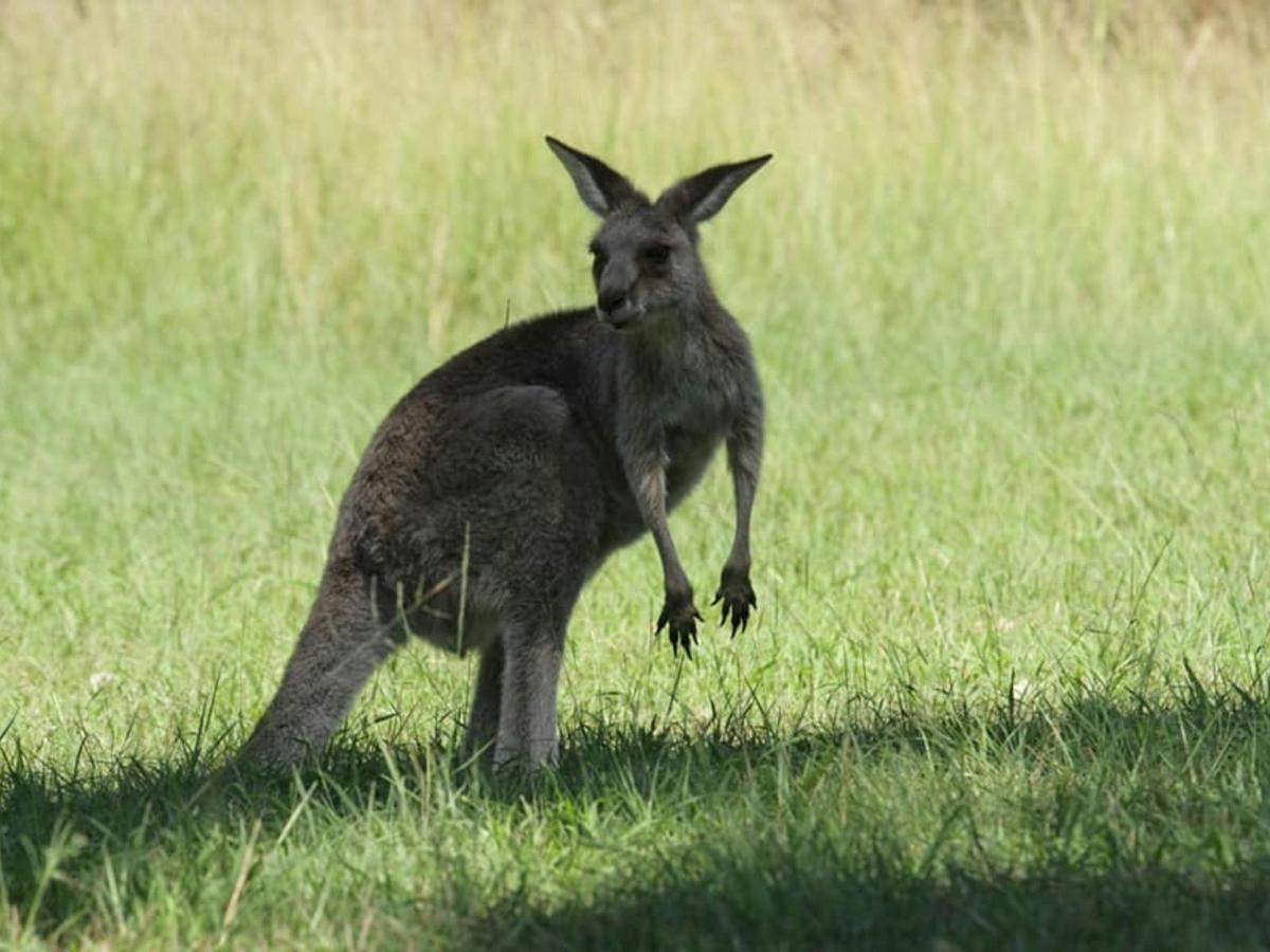 Aboriginal Day Tour from Sydney