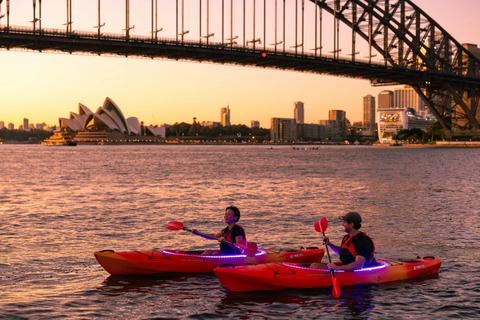 Sydney Kayak Experience