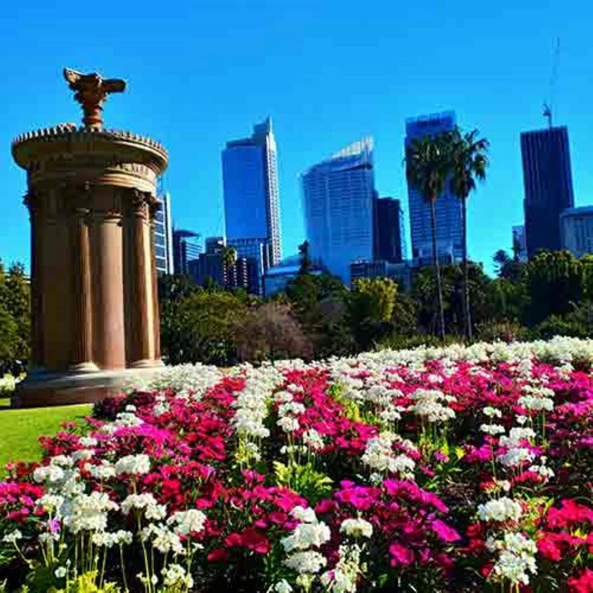 Sydney Botanical Gardens