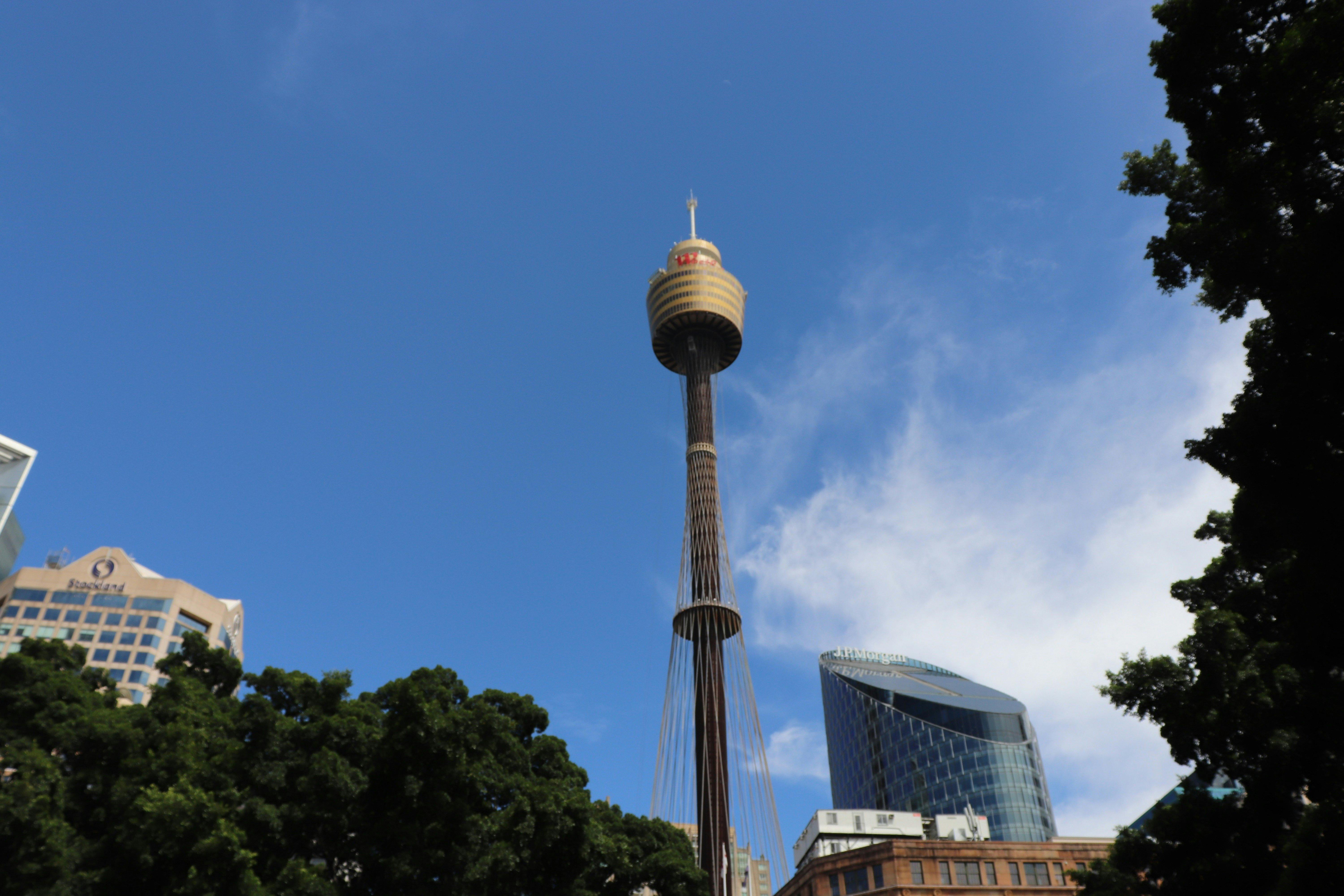 Sydney Eye Tower