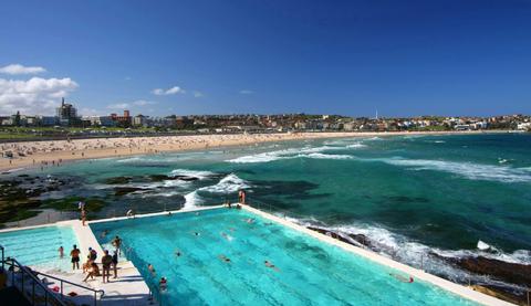 Bondi Icebergs