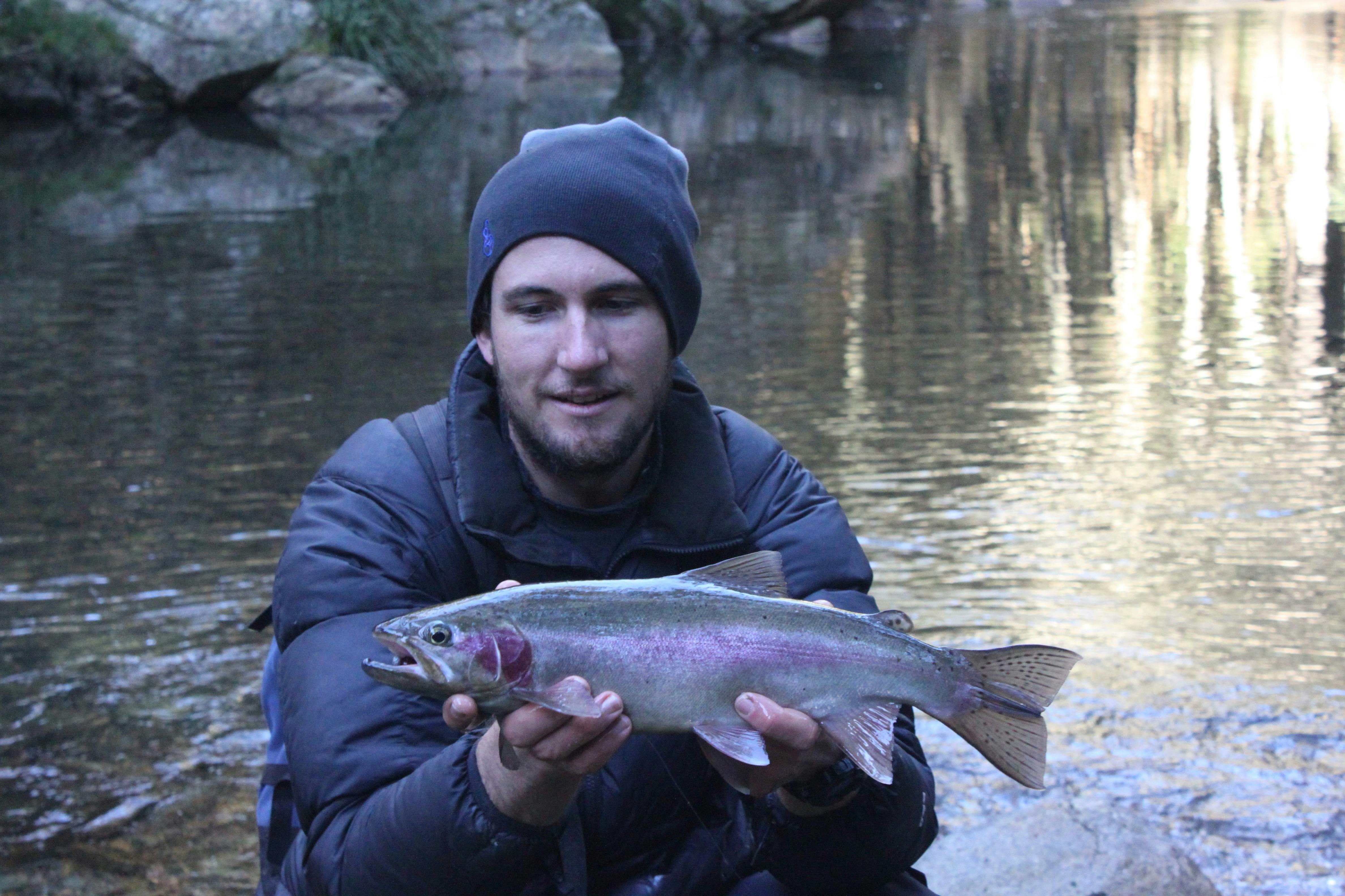 Blue Mountains Trout Fishing Expedition