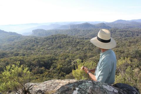 Bushwalking Tour
