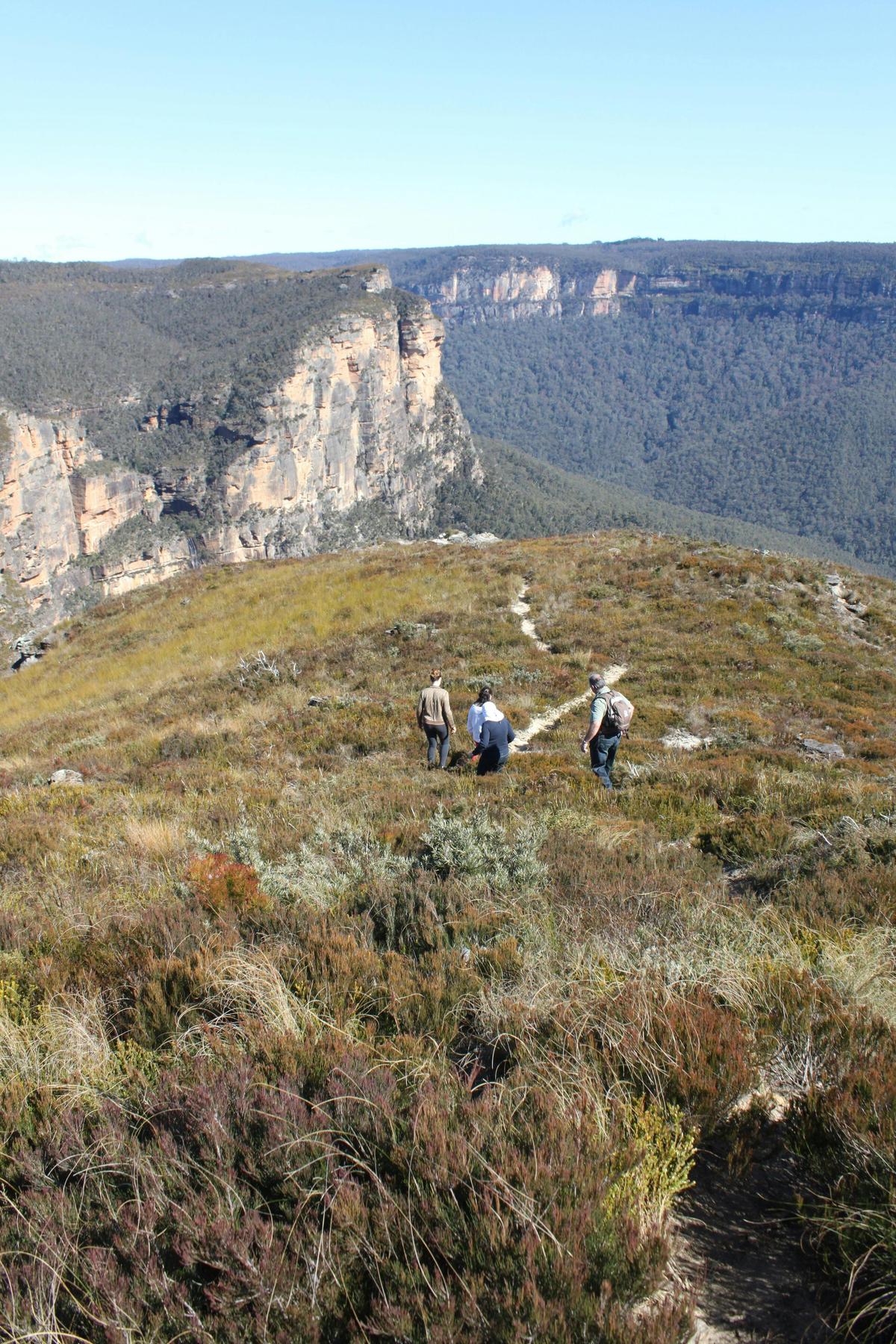 Grose Valley above Blue Gum Forest