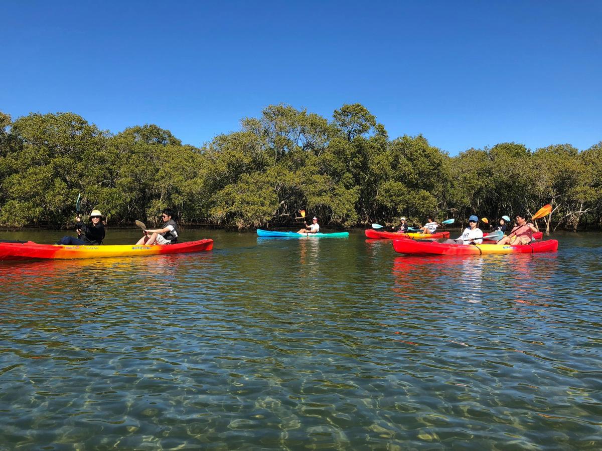 Kayaking @ Cudgen Creek
