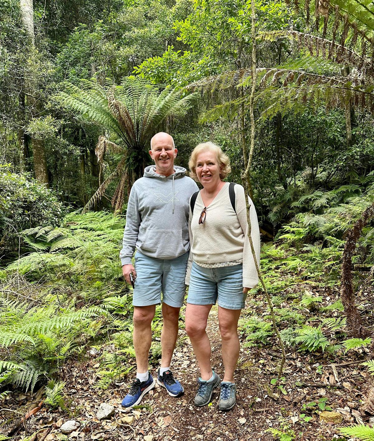 Discover hidden rainforests