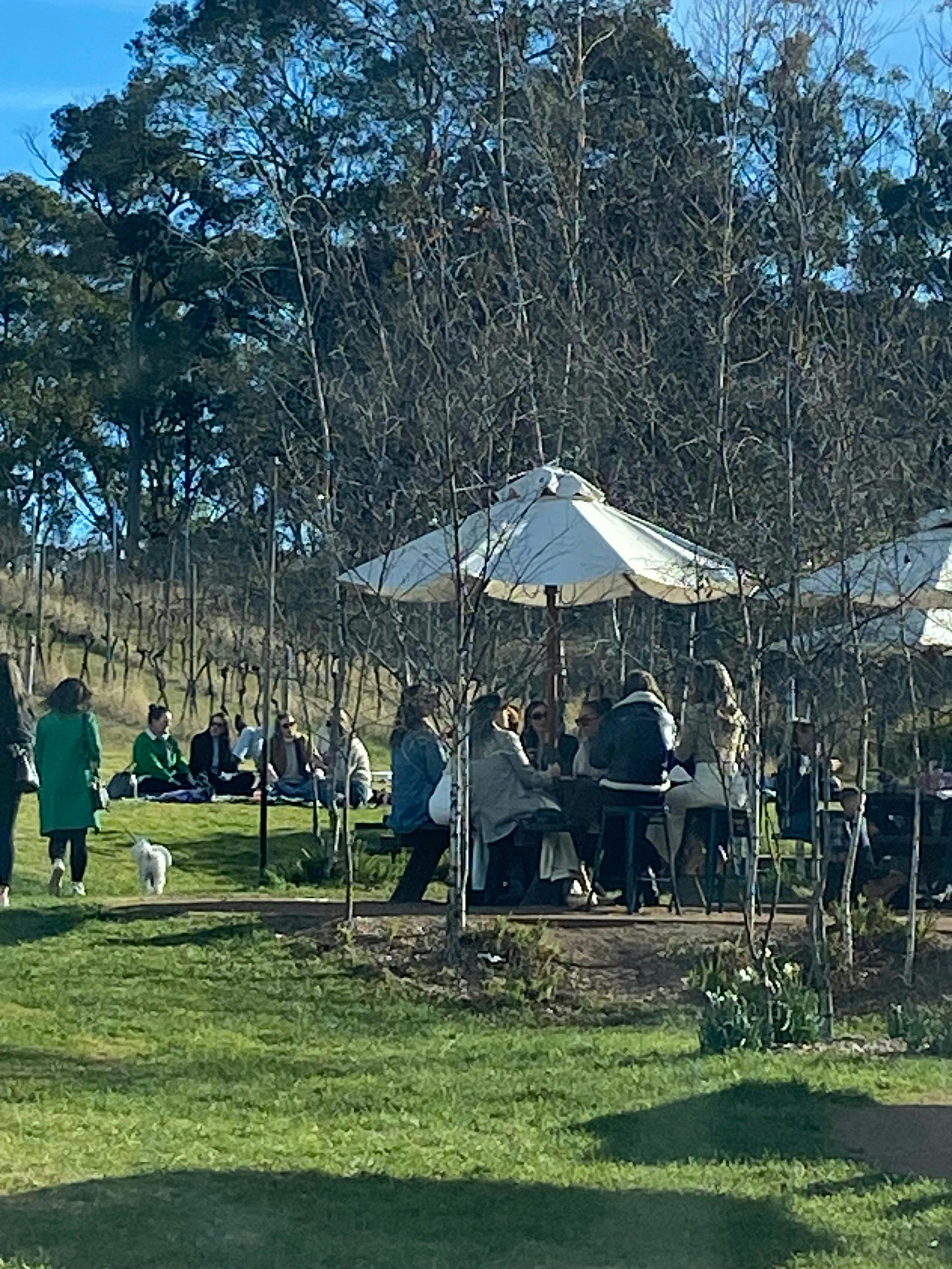 Artemis Wines in Spring, Mittagong