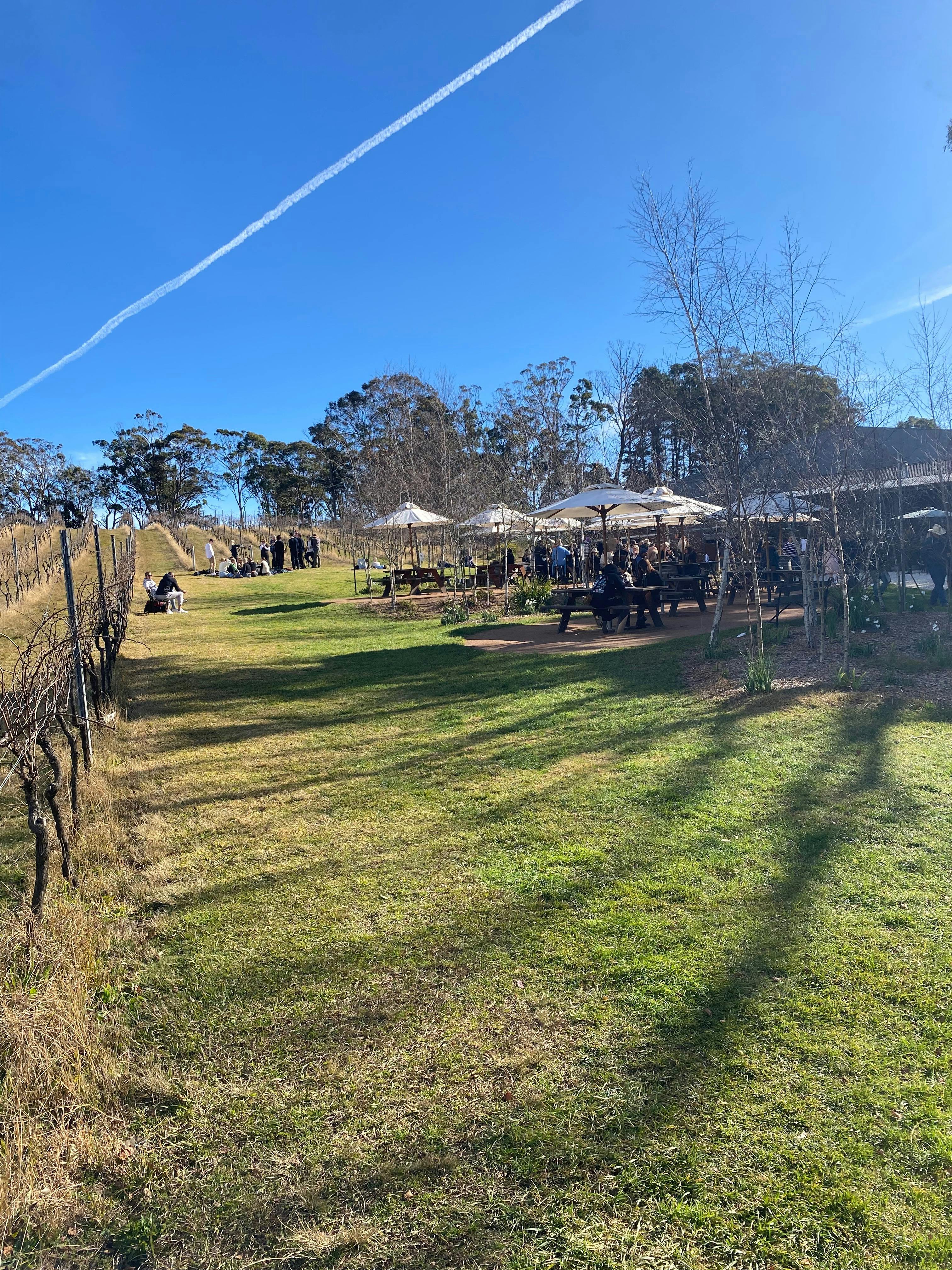 Vino Rosso Tours -  On the Lawn at Artemis Wines, Mittagong