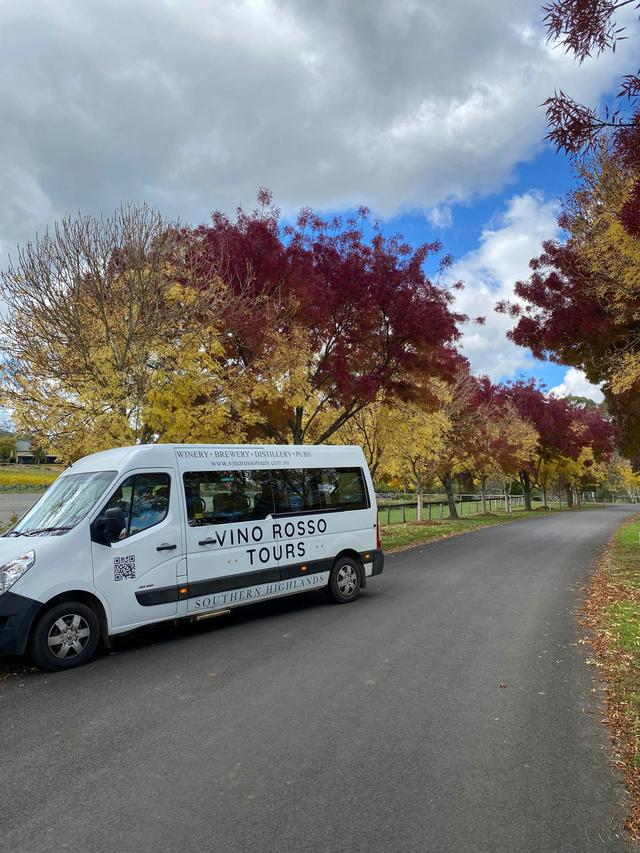Vino Rosso Tours in the Autumn Colours