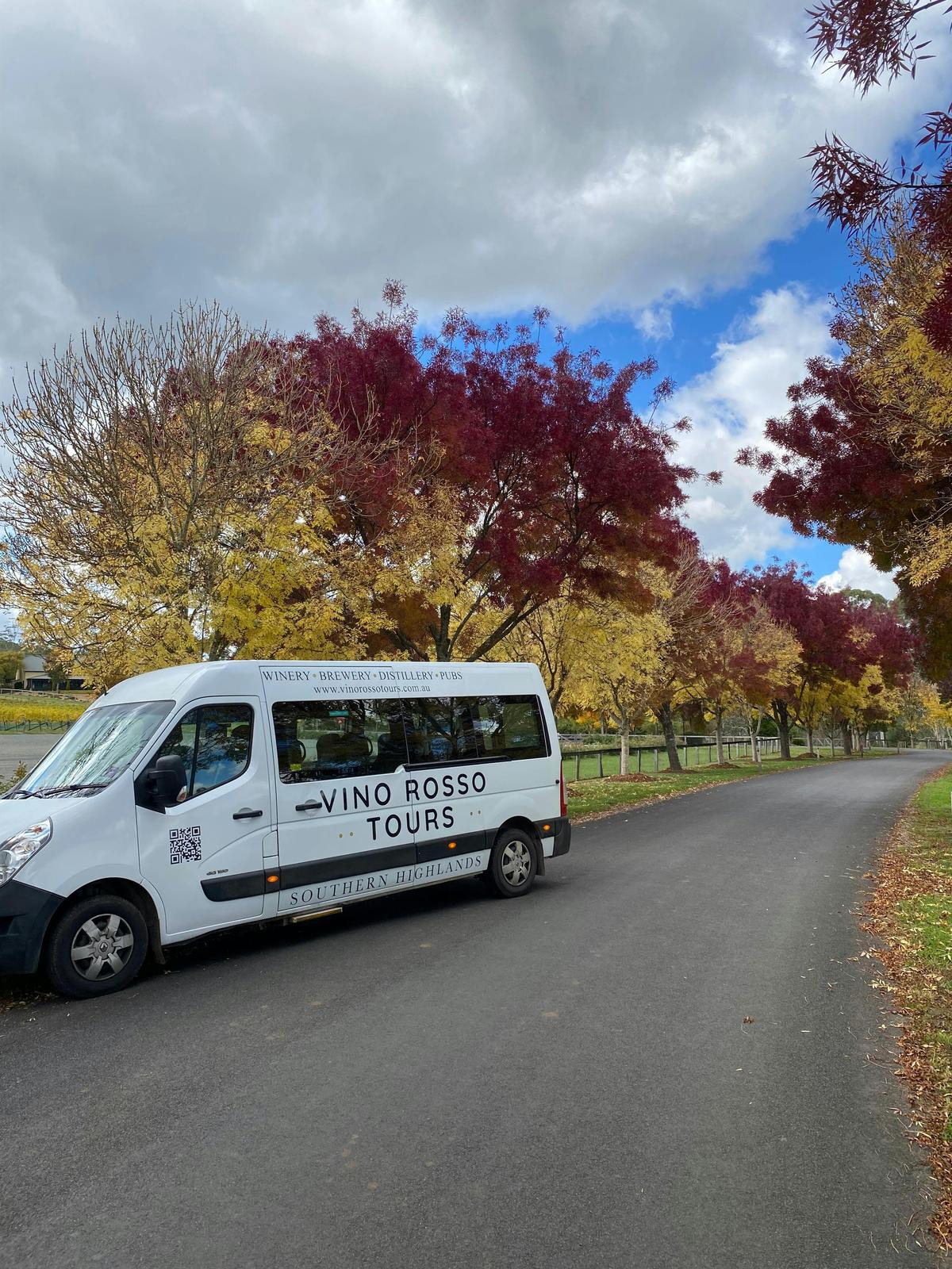 Vino Rosso Tours in the Autumn Colours