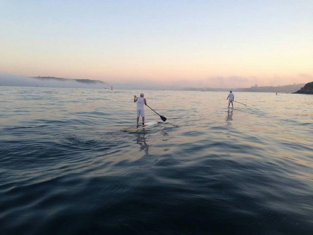 Watsons Bay Stand Up Paddling (WATSSUP)