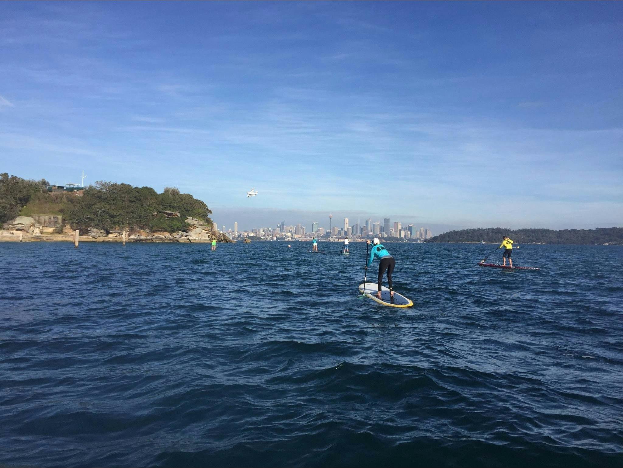 Stand Up Paddling at Sydney Harbour
