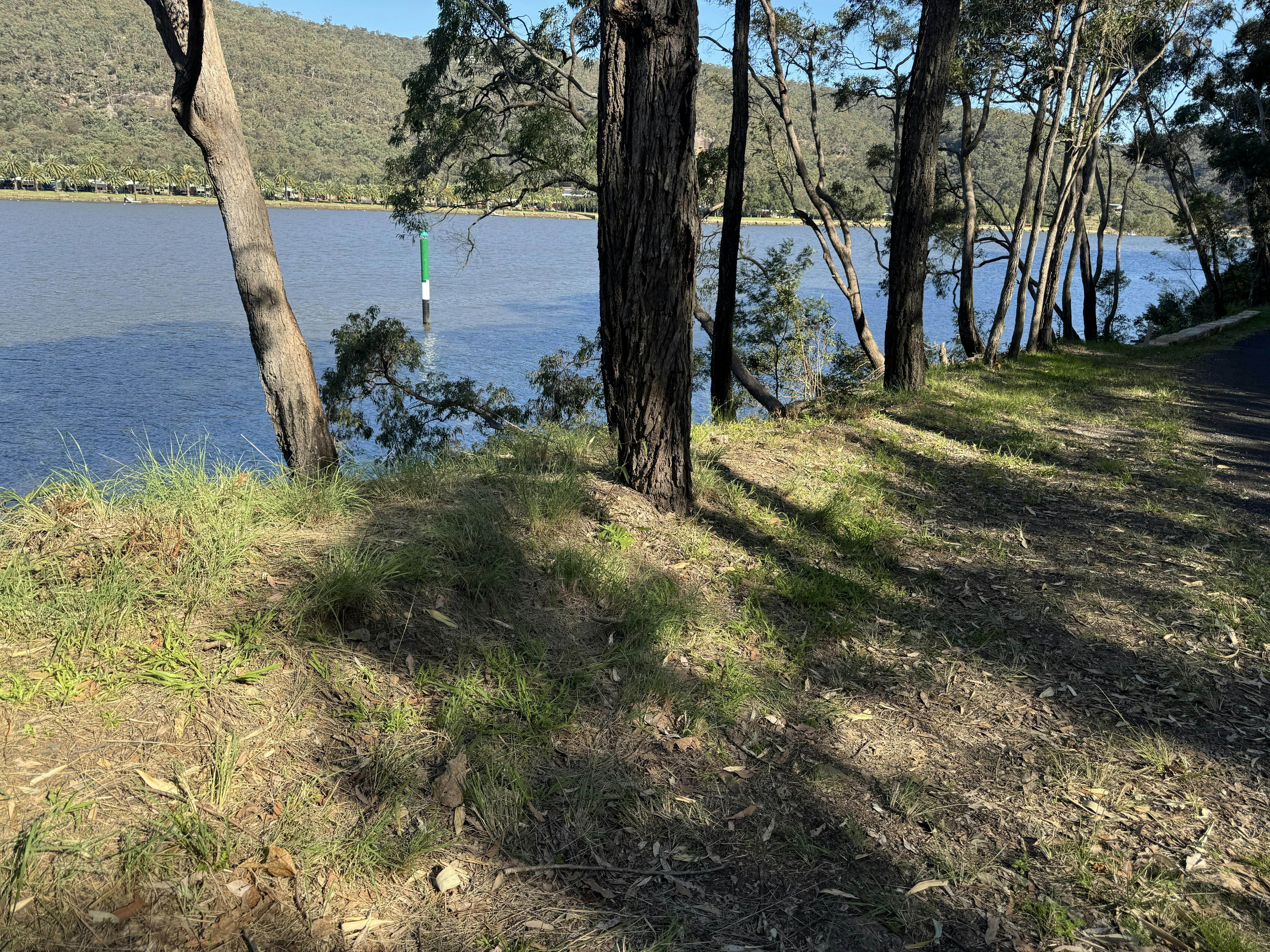 The Great River Walk track at Liverpool Reach on the river