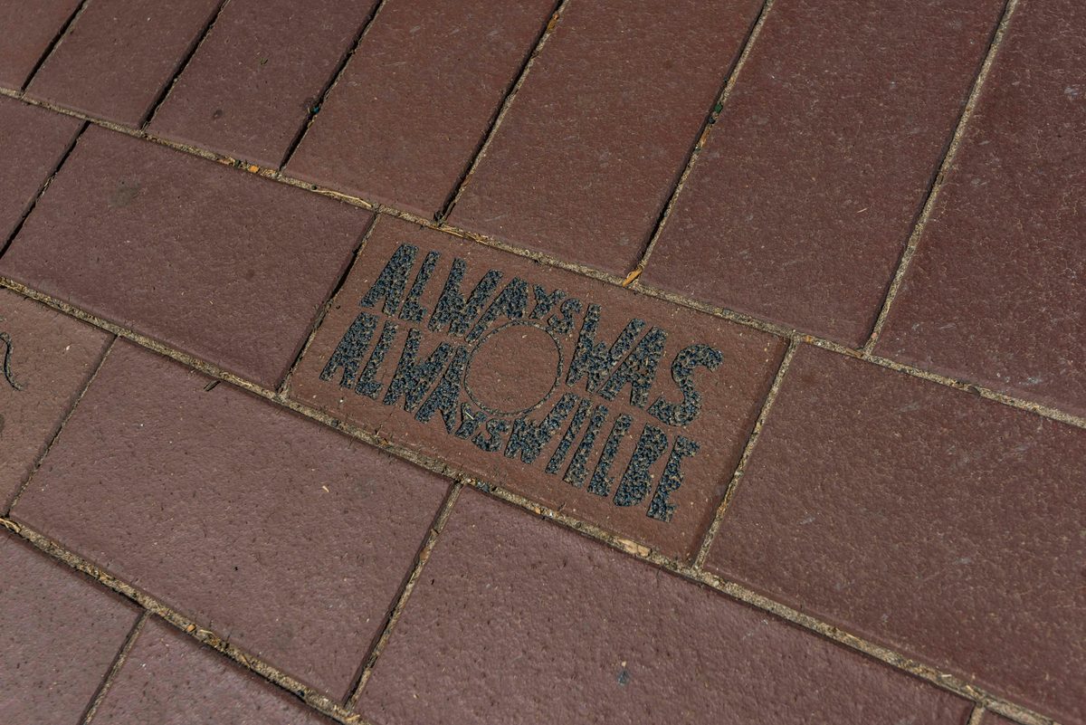 Ballina Public Art - Community Art Pavers
