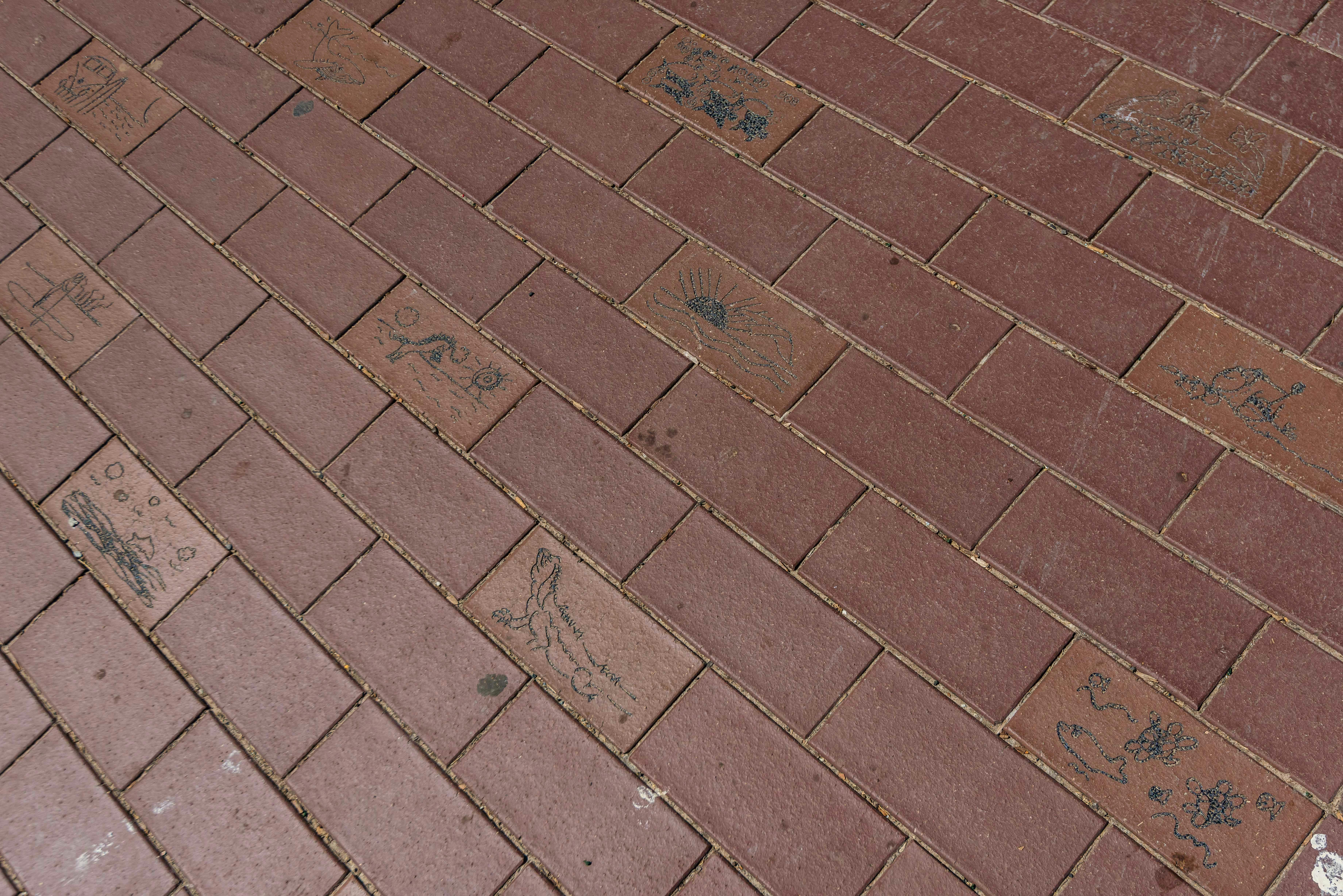 Ballina Public Art - Community Art Pavers