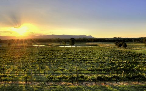 Allandale Winery