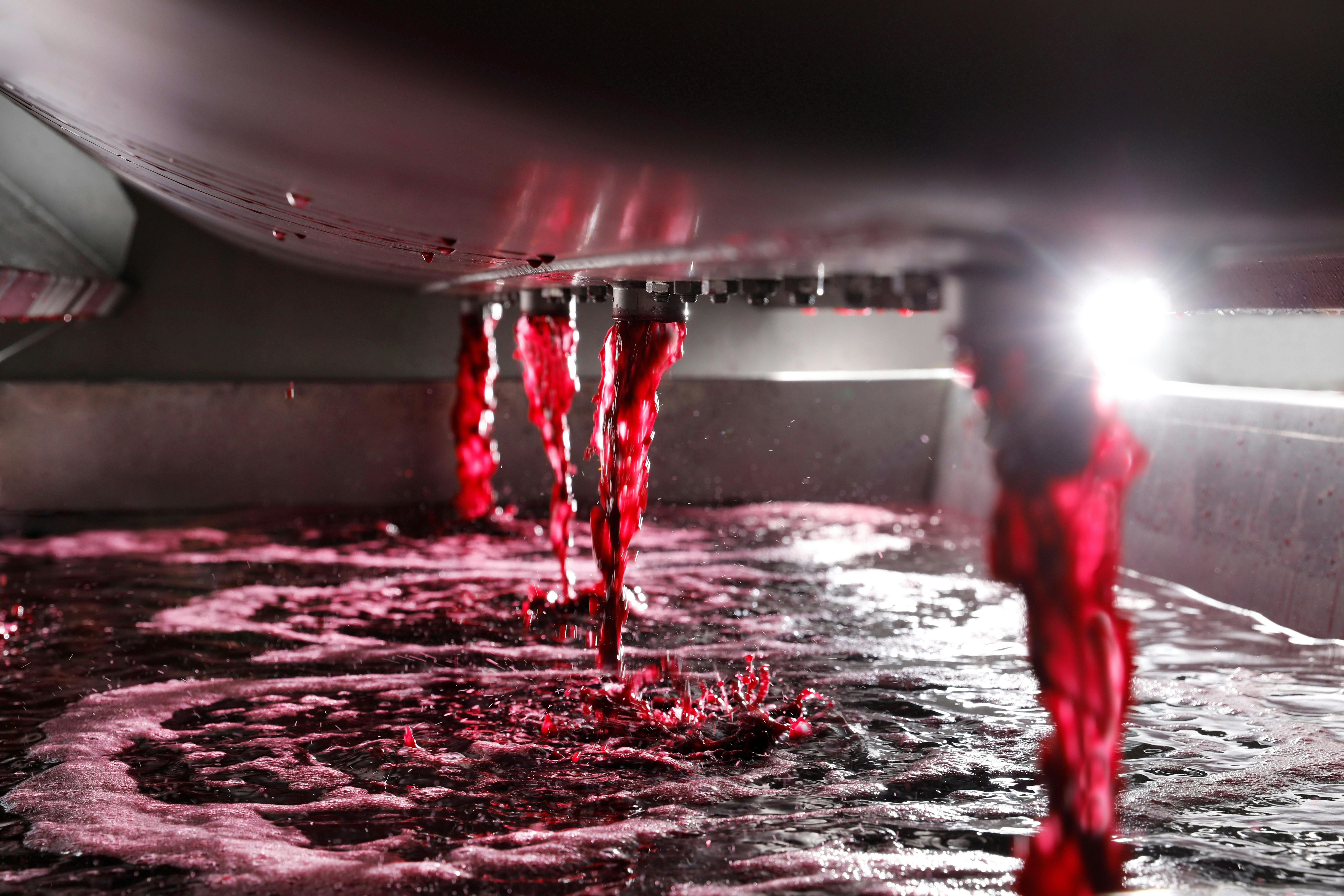 Every Allandale wine is made onsite in our winery, visible from the cellar door.