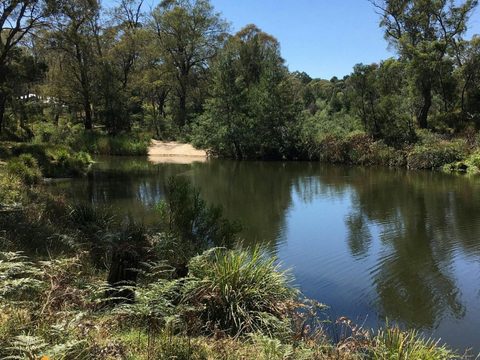 Berrima River Reserve