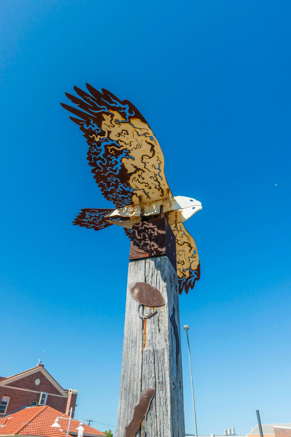 Ballina Public Art - Homeward Currents Sea Eagle
