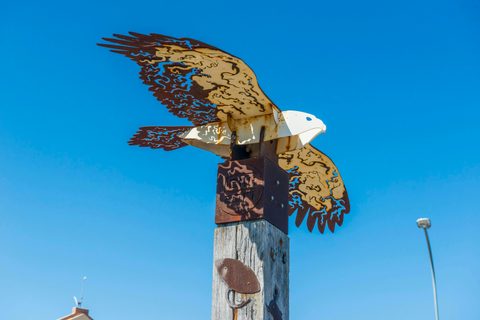 Homeward Currents Sea Eagle