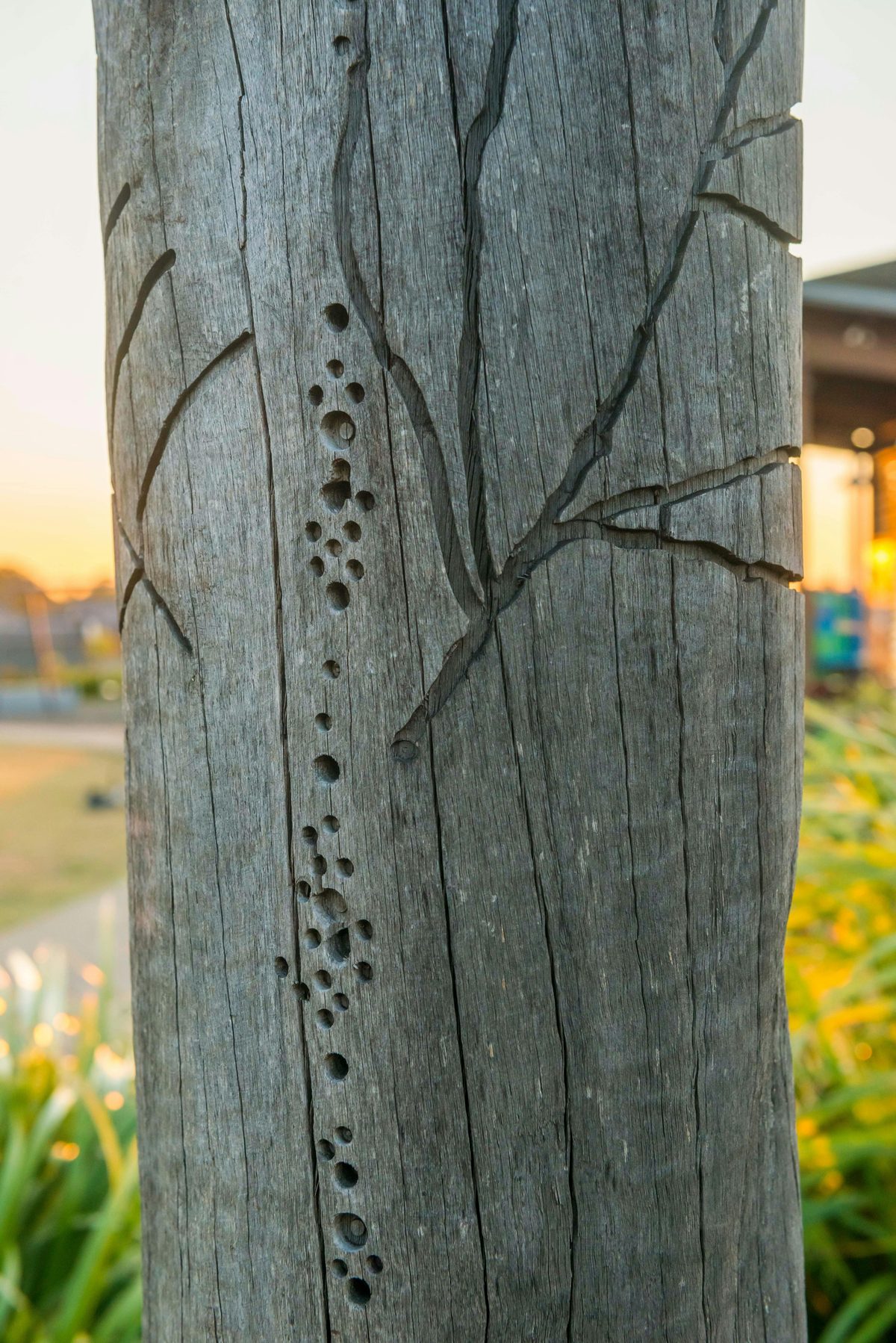 Ballina Public Art - Hardwood Poles