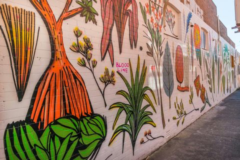 Ballina's Coastal Flora