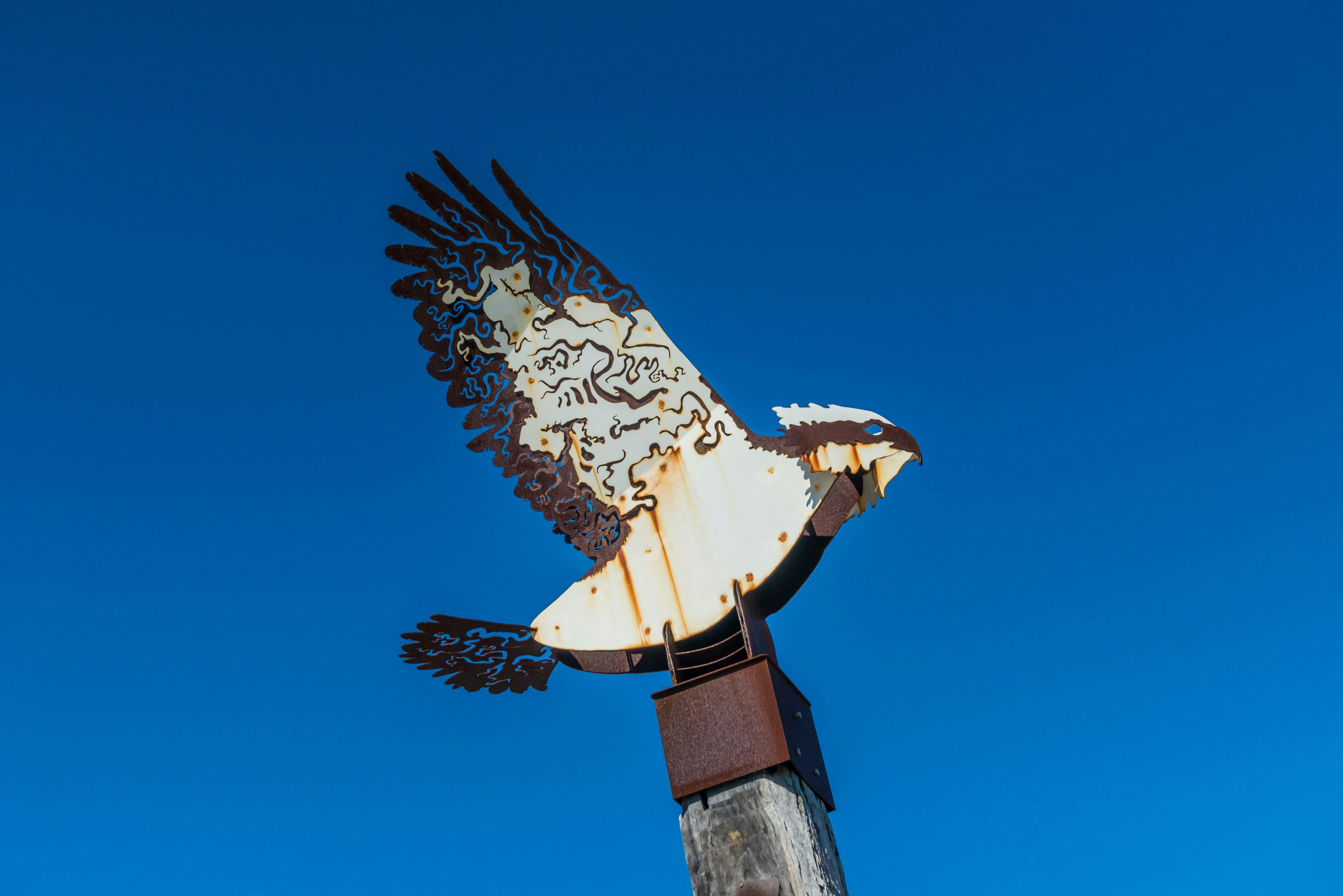 Ballina Public Art - Homeward Currents Osprey