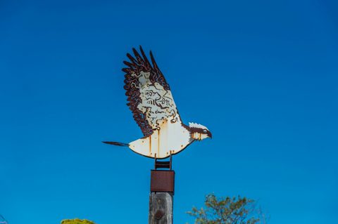 Homeward Currents Osprey
