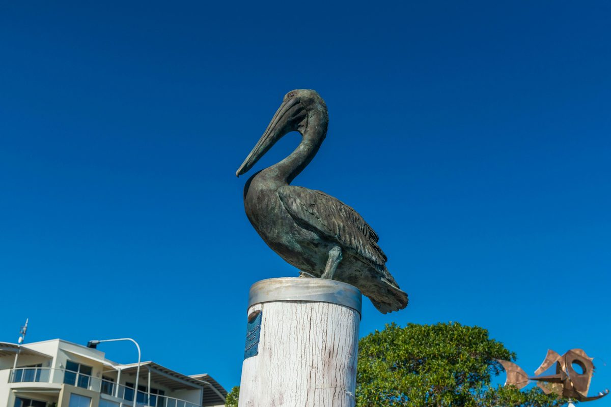 Ballina Public Art - Bronze Pelican